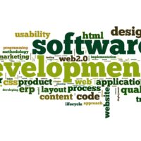 Software development