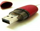Une Clé USB personnelle présumée à usage professionnel